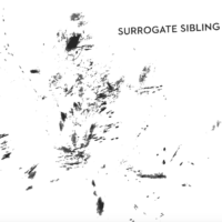 Surrogate Sibling
