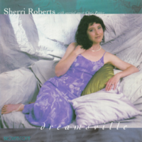 SherriRoberts_dreamsville 2