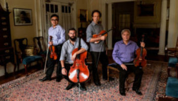 String-Quartet-Portrait-Photographer-459 String-Quartet-Portrait-Photographer-459